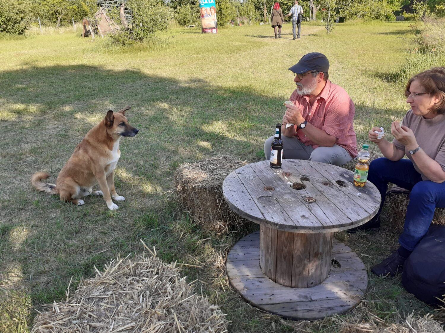 Interessierter Hundeblick auf die Brotreste zweier Besucher